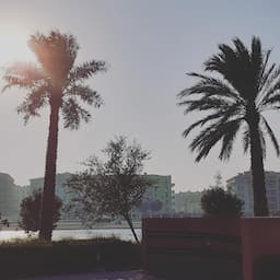 companyLogoPlaceholder